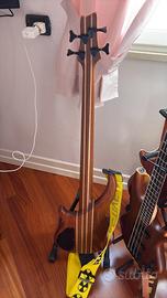 Basso jim reed Fretless