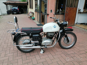 Mv augusta raid 250 1958