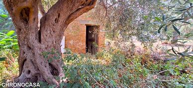 Spartà,pressi s.s.113 Ampio rudere e terreno