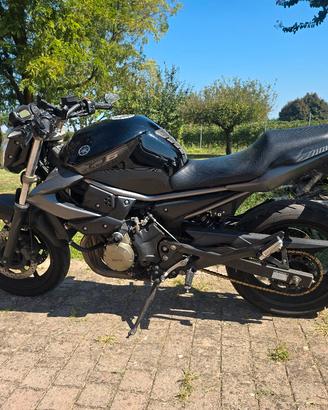 yamaha xj6 2011 A2