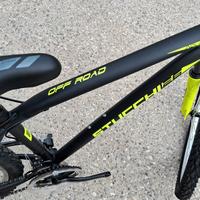 bicicletta nuova