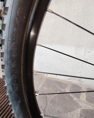 bicicletta Scott taglia L