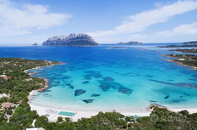 Casa vacanze olbia sul mare