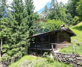 Baita/Chalet/Trullo - Calalzo di Cadore