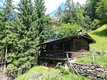 Baita/Chalet/Trullo - Calalzo di Cadore