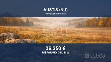 Immobile in asta di 117560 m² a Austis