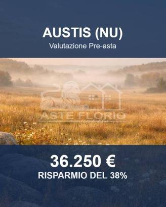 Immobile in asta di 117560 m² a Austis