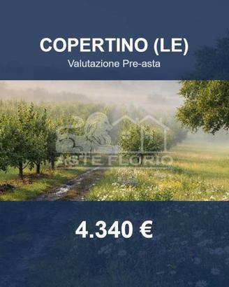 Immobile in asta di 1738 m² a Copertino