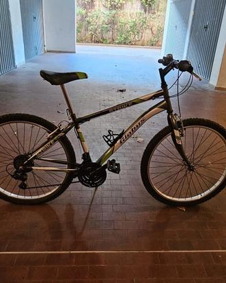 Mountain bike