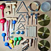 set strumenti musicali con custodia 