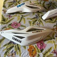 Carene bcd posteriori aerox