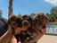 Immagine 2