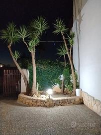 PICCOLA ABITAZIONE CON GIARDINO A MATINO 