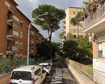 Marconi camera ad uso singolo