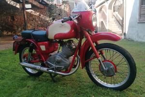 moto guzzi lodola