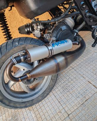 polini evo 9 piaggio