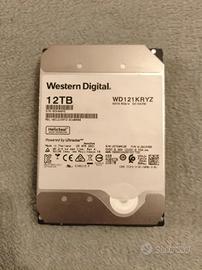 Hard Disk wd 12 tb nas
