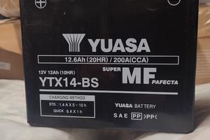 Yuasa YTX14-BS, 12,6A CCA 200A, positivo a SX