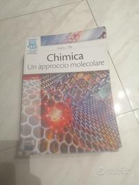 Chimica un approccio molecolare 