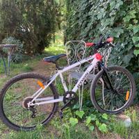 Bicicletta 10 - 14 anni