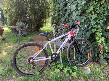 Bicicletta 10 - 14 anni