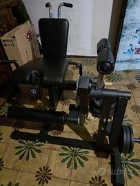 leg extension 
