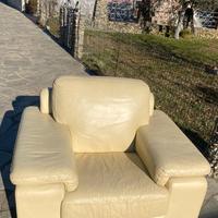 Coppia poltrone in pelle