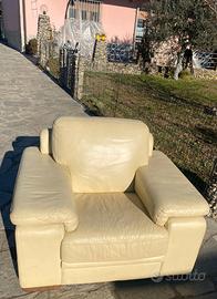 Coppia poltrone in pelle