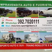 Carrello eseguo trasporto