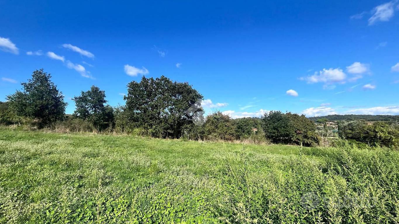 TER. RESIDENZIALE A TREVIGNANO ROMANO - Vista 3