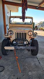 Jeep Willys CJ6 Viasa