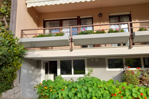 TRENTO -MERCATINI di NATALE" MENTA e ROSMARINO "