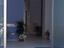 Immagine 6