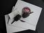 Immagine 14