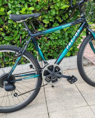 Bicicletta Uomo Mountain bike Shimano 4 corone 26