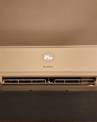 Bosch climatizzatore