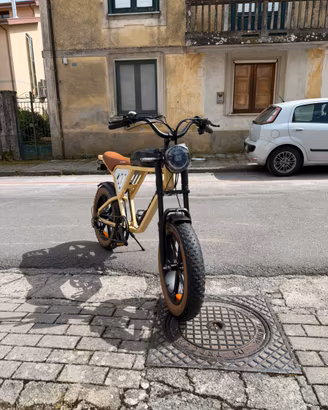 Bici elettrica