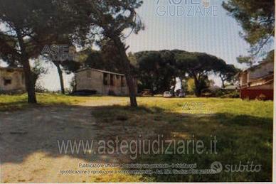 Magazzino Velletri [A4237131]