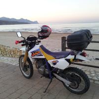 Suzuki DR SE 650 anno 1997