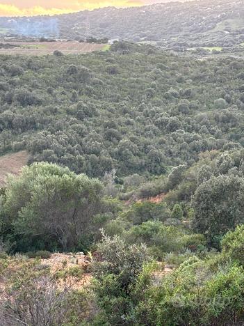 Terreno agricolo