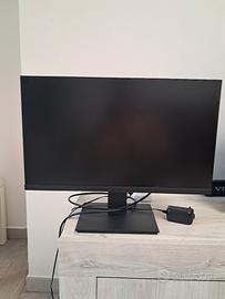 Monitor