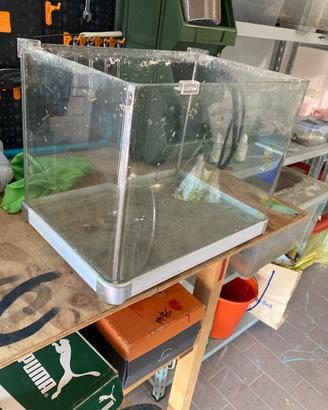 Acquario 20lt circa