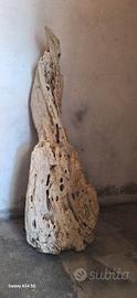 ceppo legno