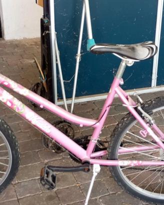 BICICLETTA  COME DA FOTO