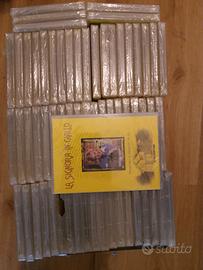 64 dvd  LA SIGNORA IN GIALLO 