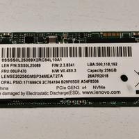 Hard disk ssd nvme 256 gb Samsung evo