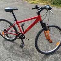 bici  bimbo 24'