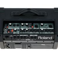 Cassa portatile Roland Street 2