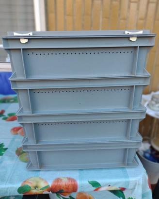 Compostiera per vermi (vermicompost)