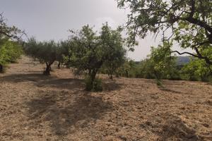 Terreno edificabile a 20 minuti dal mare